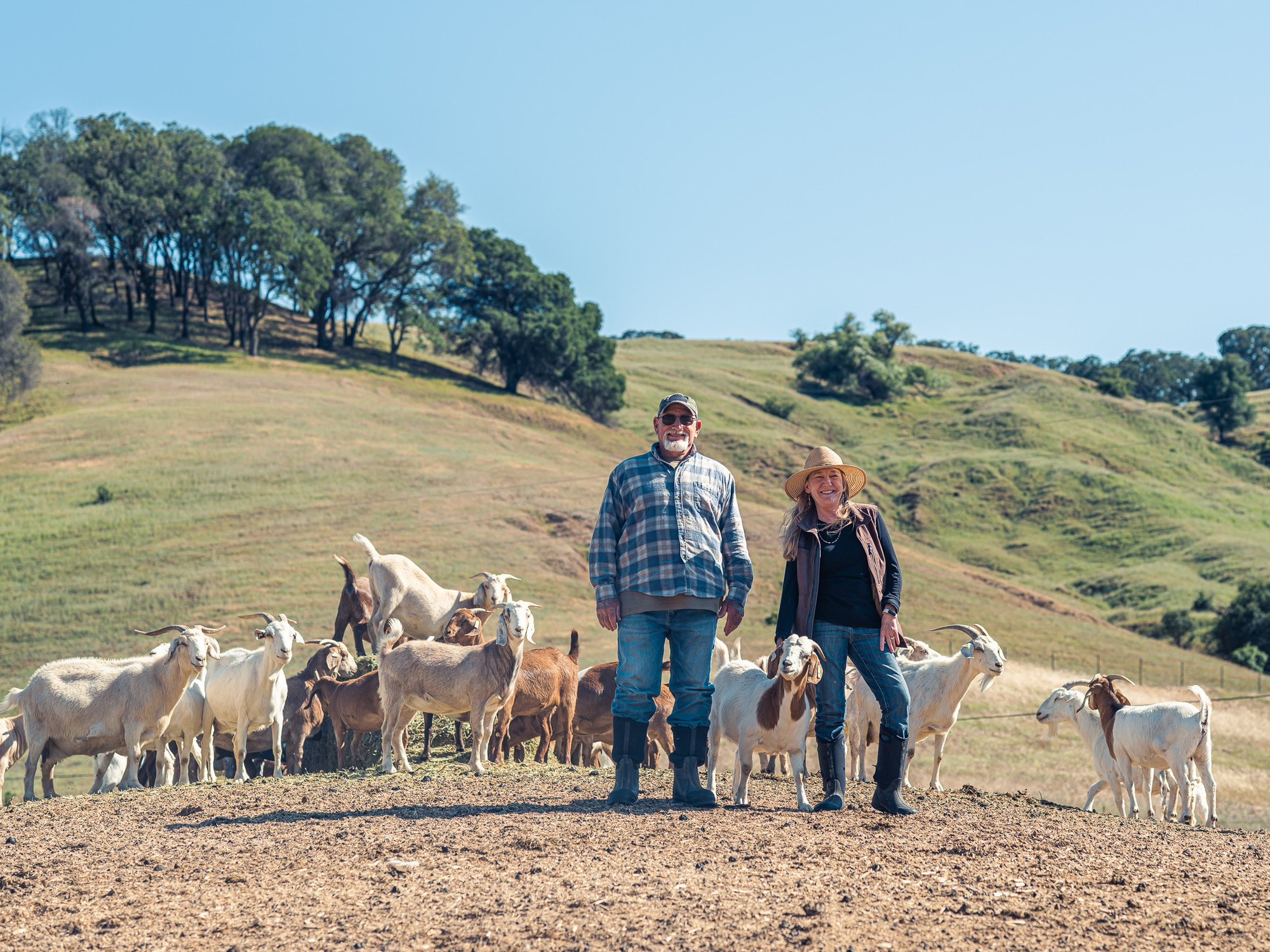 Dan+Liz+Goats (2)